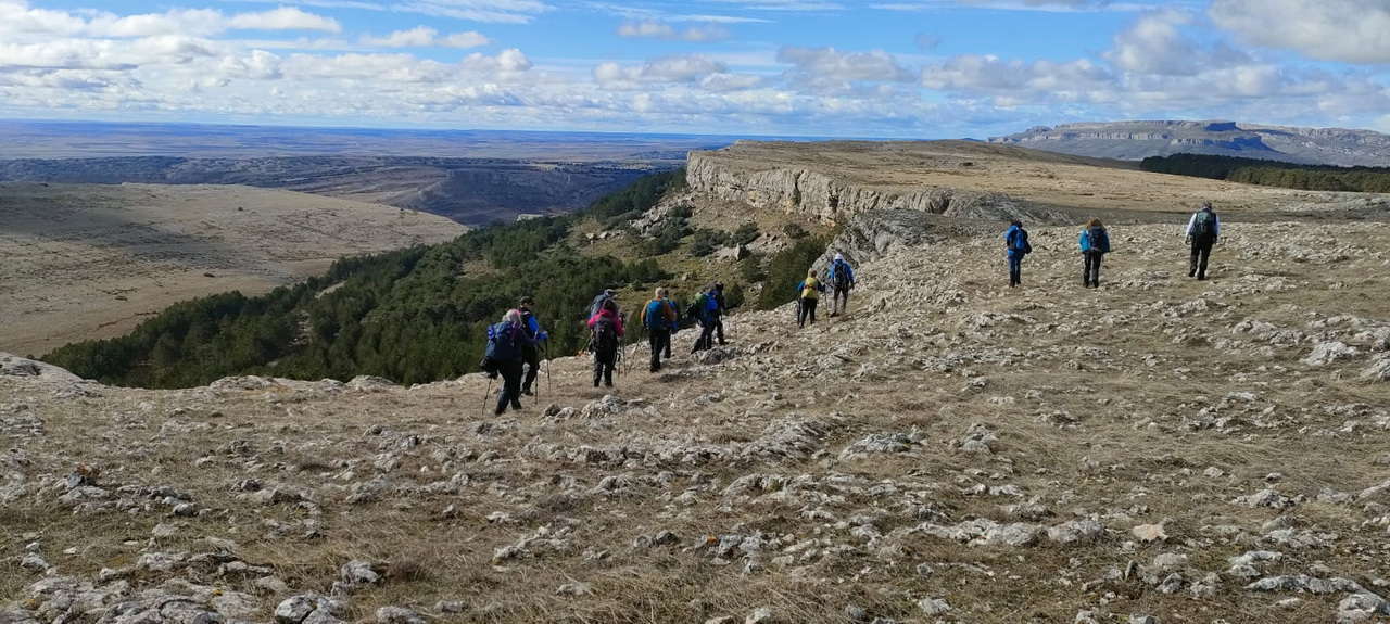 WhatsApp Image 2026-02-10 at 14.47.47 (3)